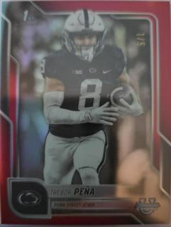 Trebor Pena