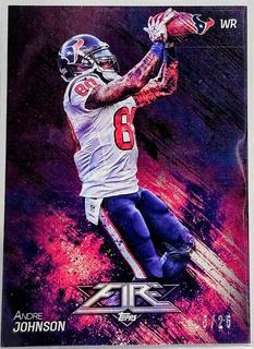 Andre Johnson