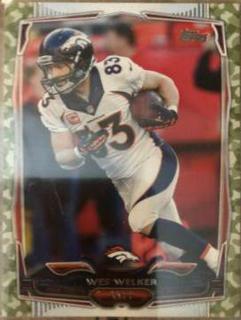 Wes Welker