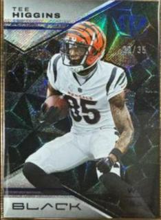 Tee Higgins