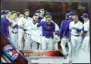 Toronto Blue Jays