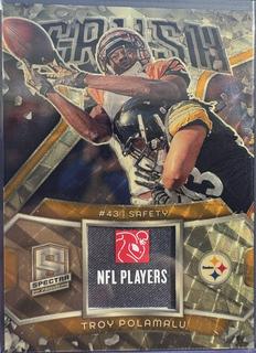 Troy Polamalu