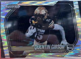 Quentin Gibson