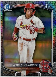 Sammy Hernandez