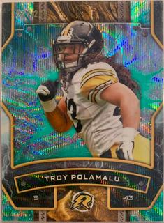 Troy Polamalu