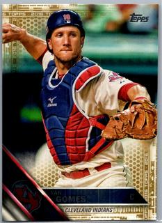 Yan Gomes