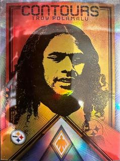 Troy Polamalu