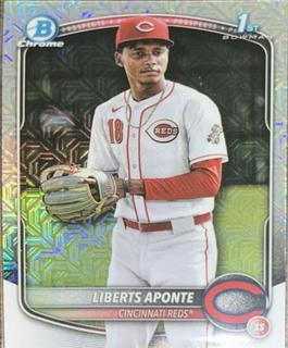 Liberts Aponte