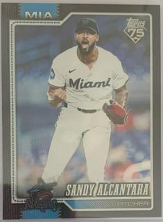 Sandy Alcantara