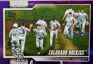 Team Card