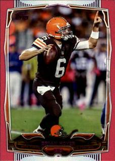 Brian Hoyer