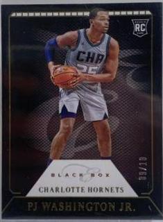 PJ Washington Jr.