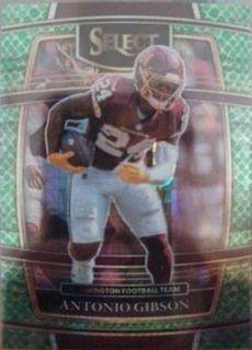 Antonio Gibson