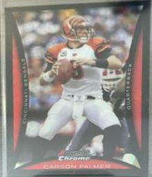 Carson Palmer