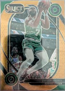 Jaylen Brown