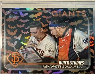 Patrick Bailey & Blake Snell