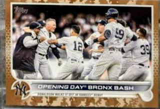 Opening Day Bronx Bash