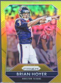 Brian Hoyer