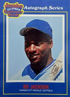 Bo Jackson