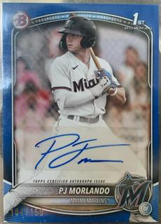 PJ Morlando