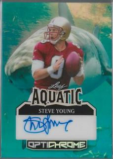 Steve Young