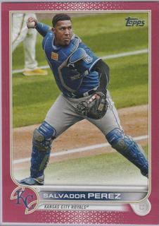 Salvador Perez