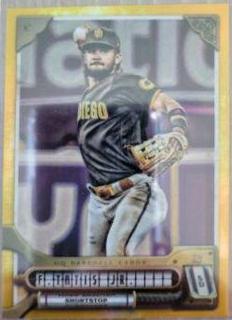Fernando Tatis Jr.