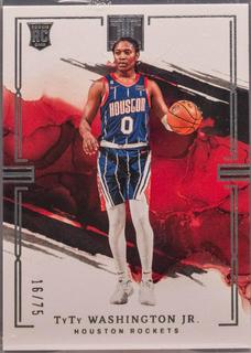 TyTy Washington Jr.