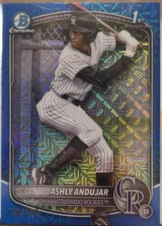 Ashly Andujar