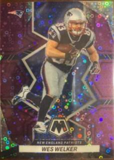 Wes Welker