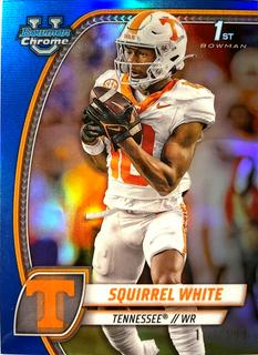 Squirrel White