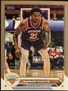 Mamadi Diakite