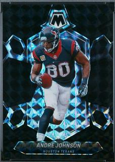 Andre Johnson