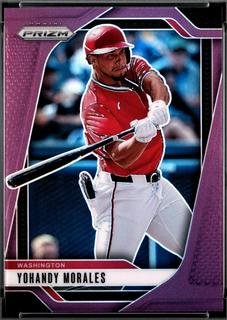 Yohandy Morales