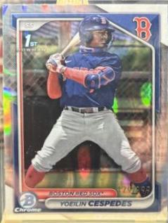 Yoeilin Cespedes