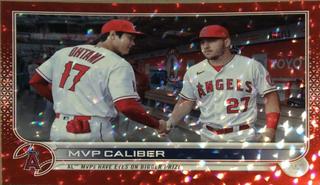 Mike Trout / Shohei Ohtani