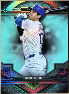 Shohei Ohtani
