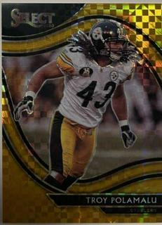 Troy Polamalu
