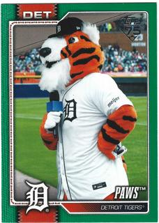Paws Detroit Tigers
