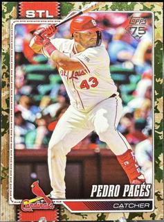 Pedro Pages