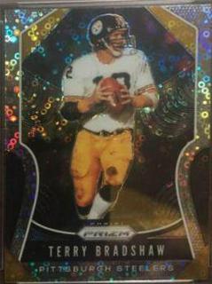 Terry Bradshaw