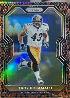 Troy Polamalu