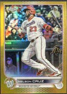 Nelson Cruz