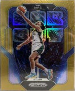 Sue Bird