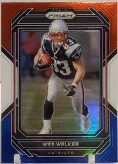 Wes Welker