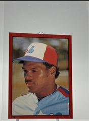 Tim Raines #116 Baseball Cards 1982 O Pee Chee Stickers Prices