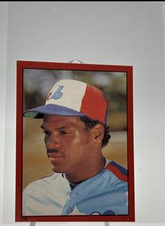 Tim Raines
