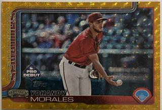 Yohandy Morales