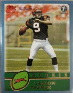 Carson Palmer