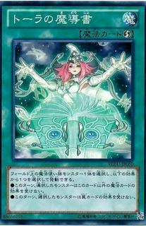 Spellbook of Wisdom REDU-JP060